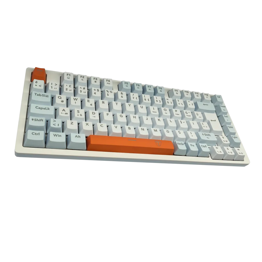 T-DAGGER T-TGK326WBO, MEGATRE, USB Kablolu, Türkçe Q, Rainbow Backlight, Red Mekanik Switch, 82 Tuşlu, Gaming Klavye
